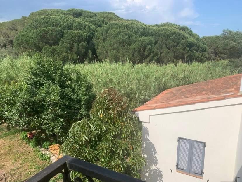 Appartement Independant Dans Villa, Entre Frejus Et St Raphael Exterior foto